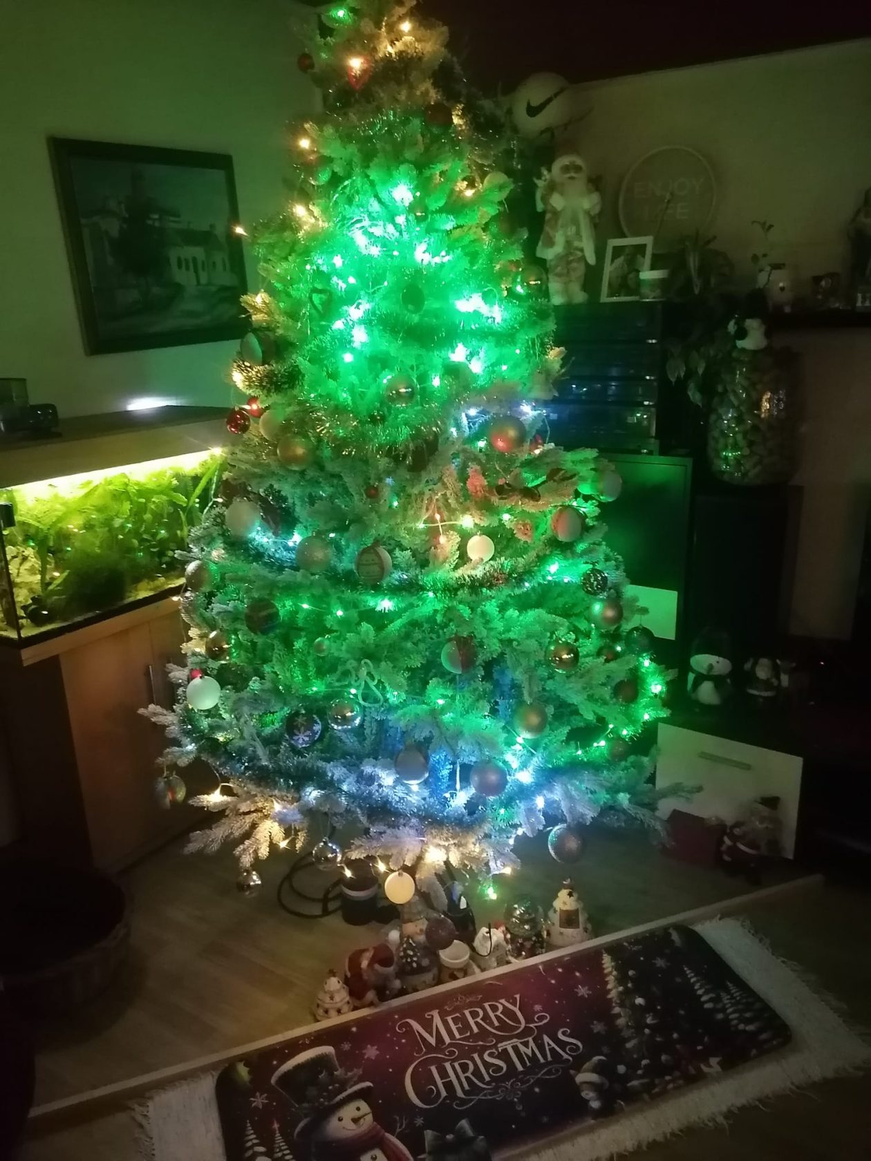 Božićna drvca 2025.