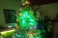 Božićna drvca 2025.