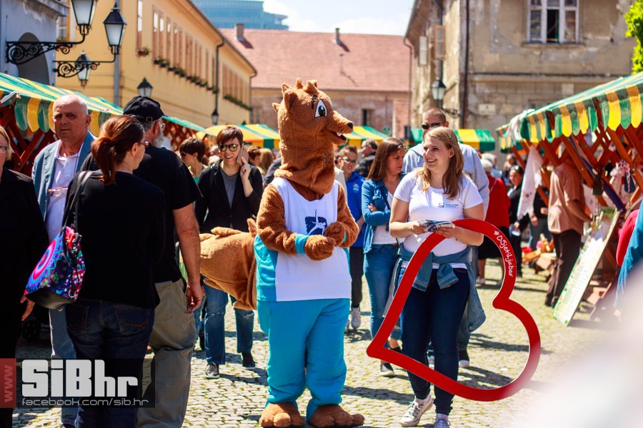 sajam antikviteta_sibhr_os_32
