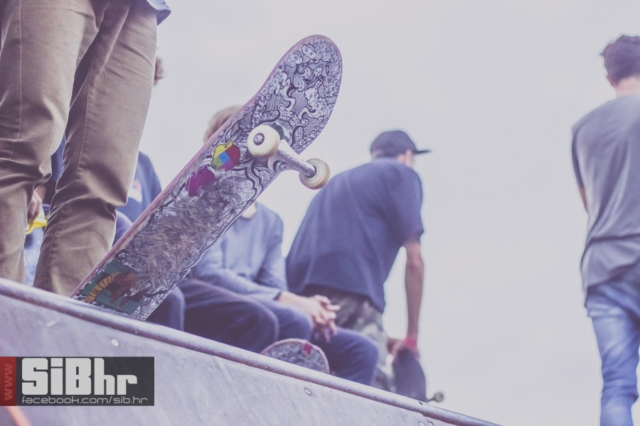 pannonian_petak2015_SiBhr25