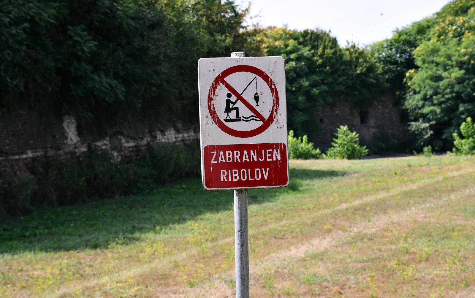 Pomor ribe u Slavonskom Brodu