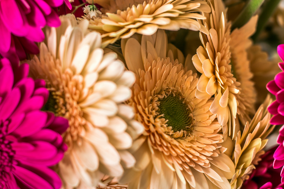 Florista
