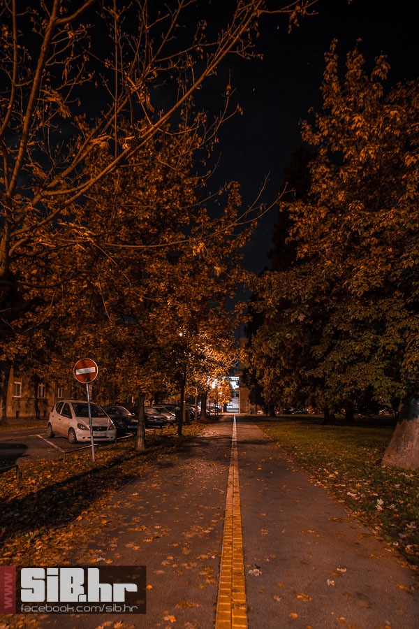 osjecka_jesen_19_21_10_2013_mba