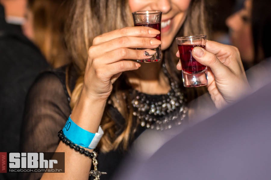 wine_fest_osijek_2015_SiBhr_23