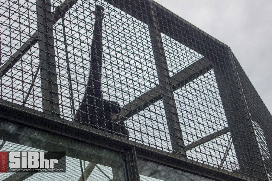 zoo_uskrs_2016_sibhr_54