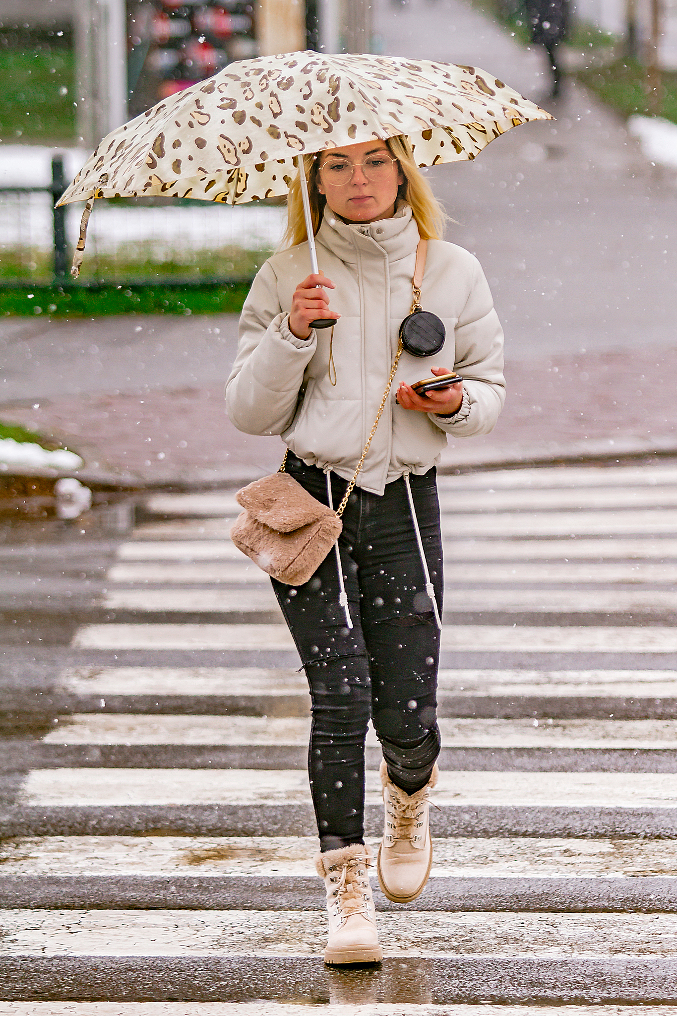 Image 5619853 (auto)