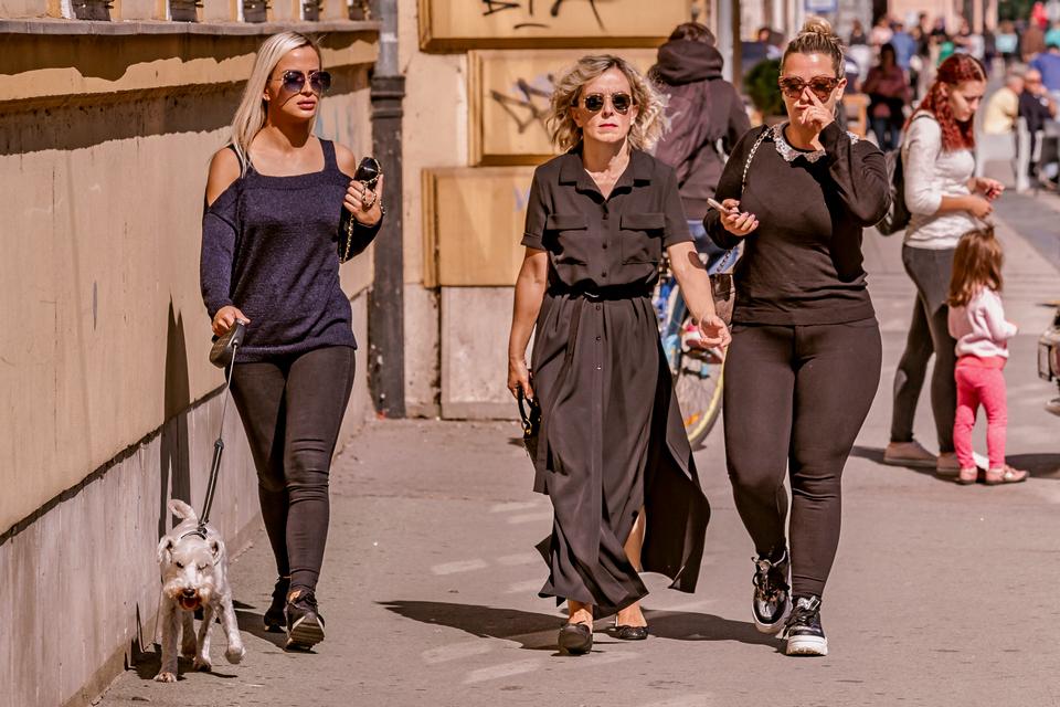 legice i lege u šetnji legice i lege u šetnji