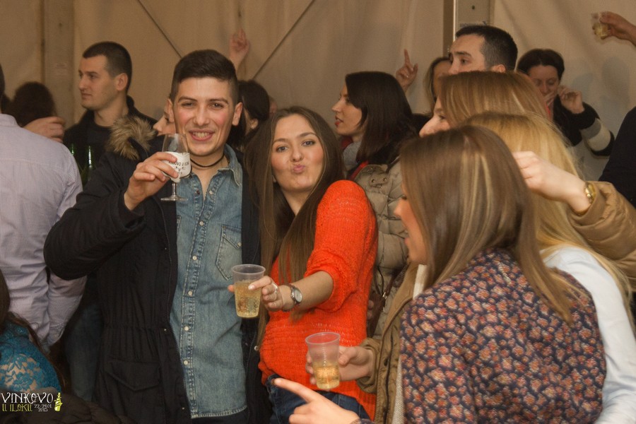 vinkovo_ilok_25