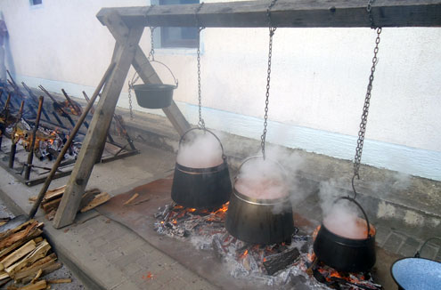 fisijada_beli_manastir_7 fisijada_beli_manastir_7