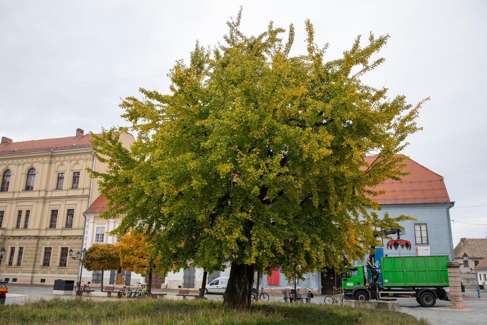 Image 5908569 (auto) Image 5908569 (auto)