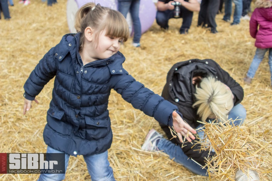 usrks_osijek_2016_SiBhr_24