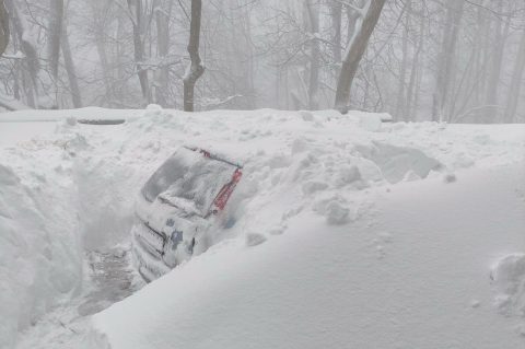 657507147_1353567640150513_6725670892164703999_n 657507147_1353567640150513_6725670892164703999_n