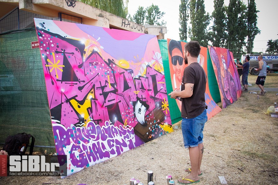 pannonian_challenge_XIV_inline_