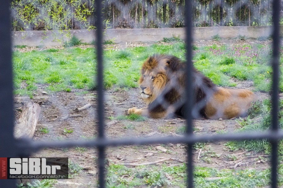 zoo_uskrs_2016_sibhr_105