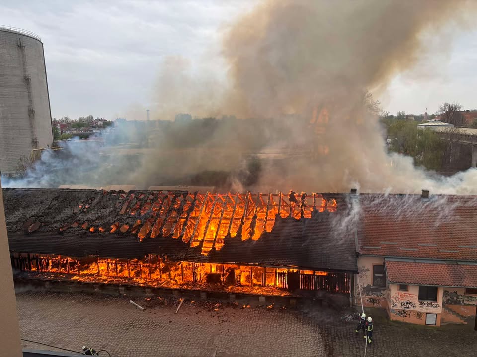 666968799_1334287372085536_7141256097402329297_n