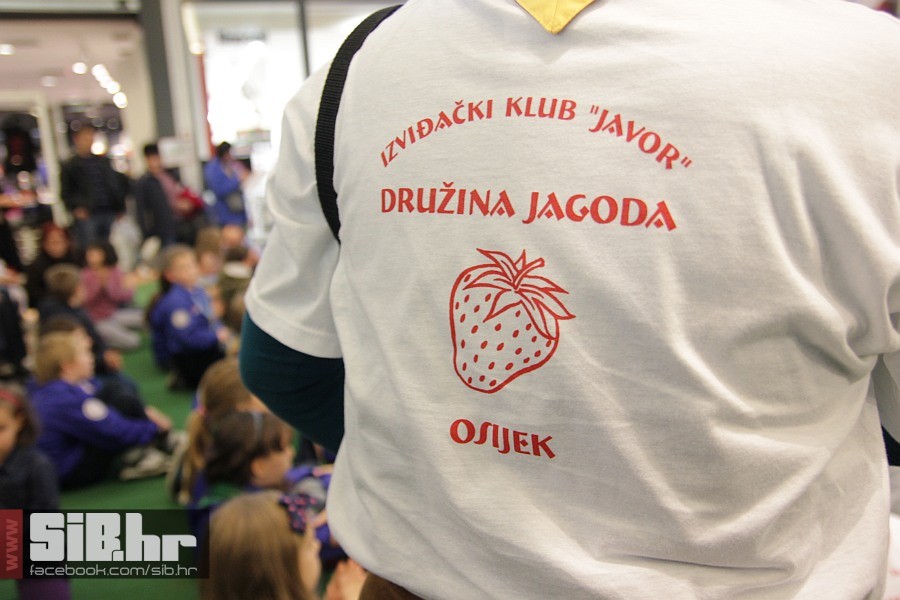 izvidjaci_am_sibhr_22