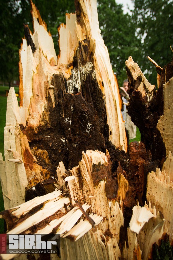 unisten_zrinjevac_11052013_sibh unisten_zrinjevac_11052013_sibh