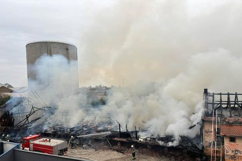 670997974_1655958858624666_615685025475138283_n