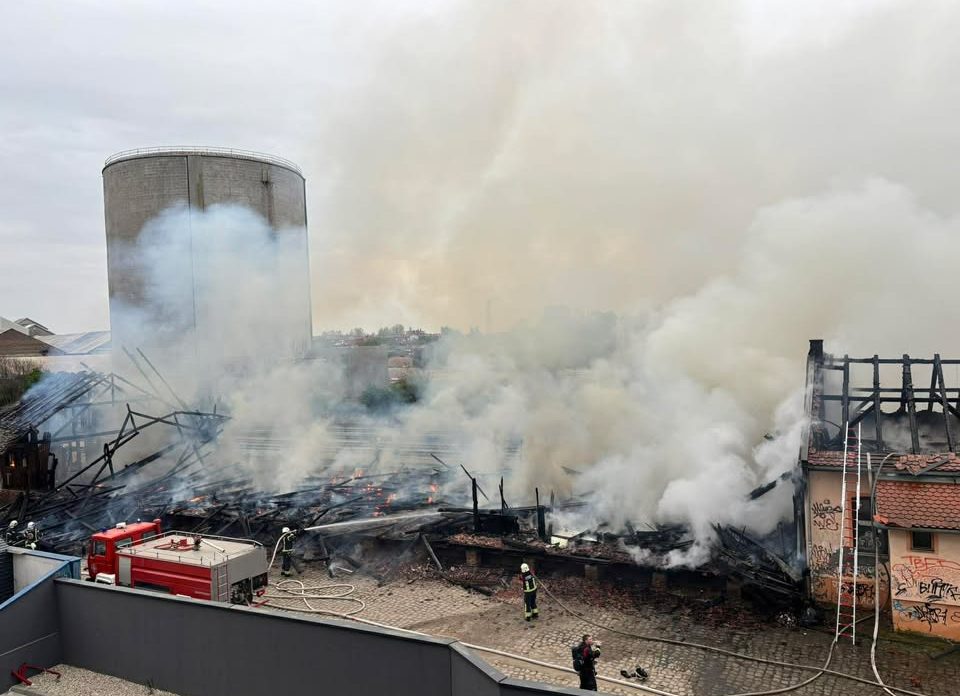 670997974_1655958858624666_615685025475138283_n