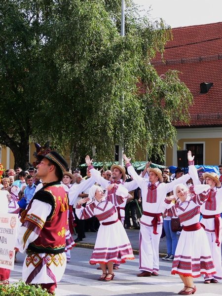 djakovacki_vezovi_2014_SiBhr_3