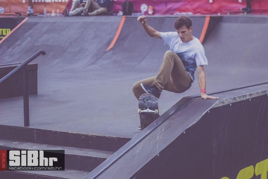 pannonian_petak2015_SiBhr33