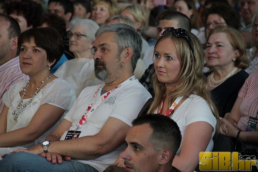 zvonko_bogdan_29_05_2011_sibhr_