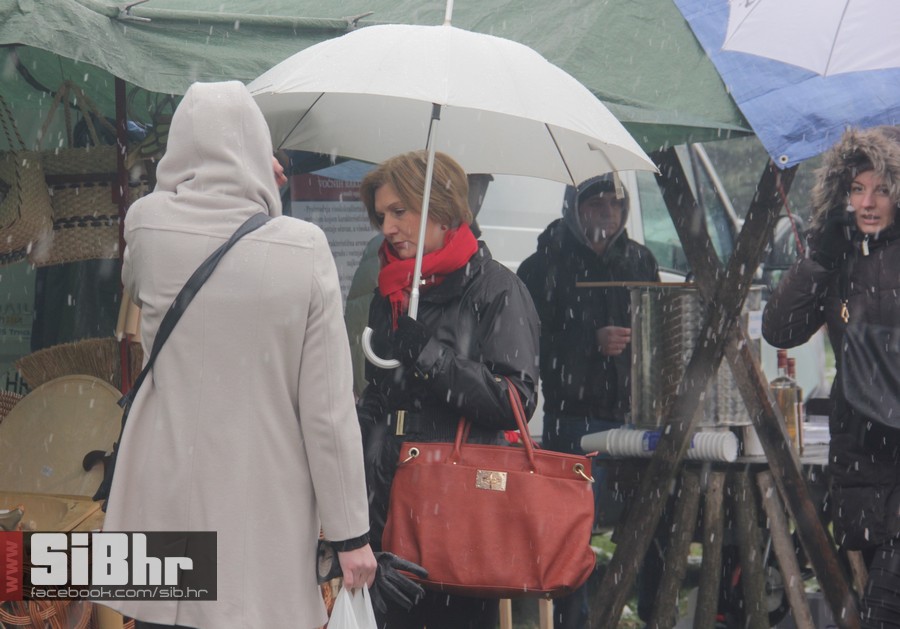karanac_2015_SiBhr_23