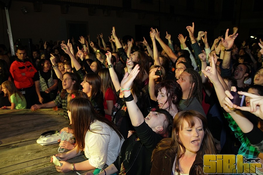 prva_godina_siba_koncerti104