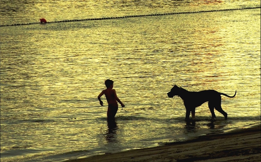 osijek_robert_marinkovic_05