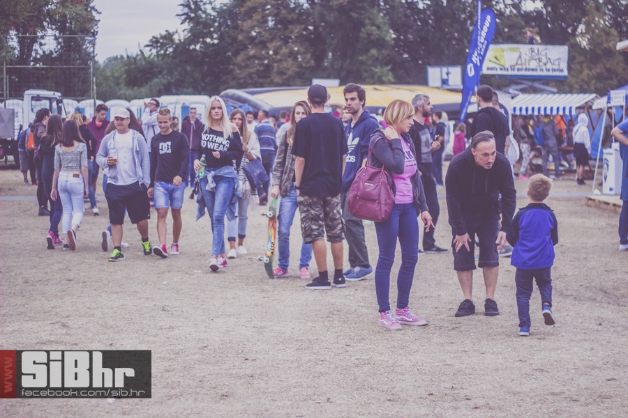 pannonian_petak2015_SiBhr11
