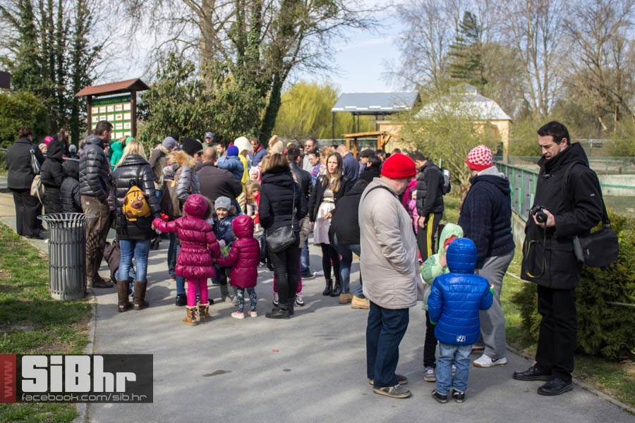 zoo_vrt_07