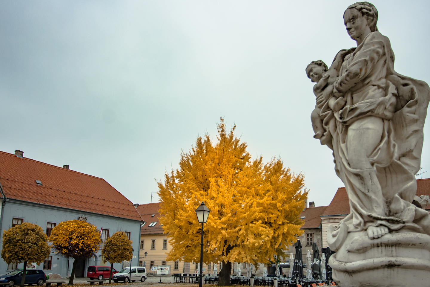 Ginko u Tvrđi i ove godine pokazuje svu svoju ljepotu i raskoš