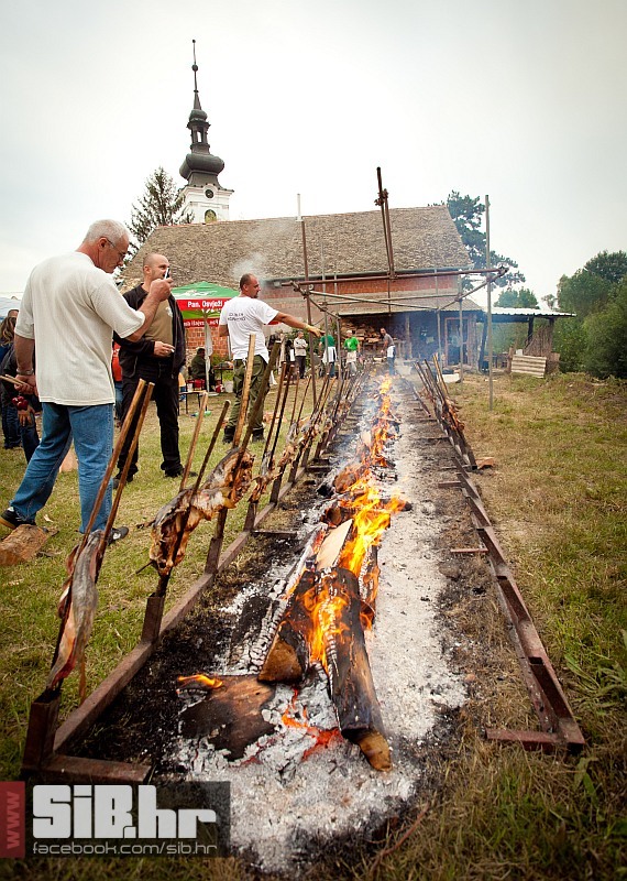 kopacevo_ribarski_dani_2012_sib