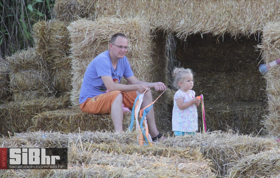 slama2015_subota_SiBhr24