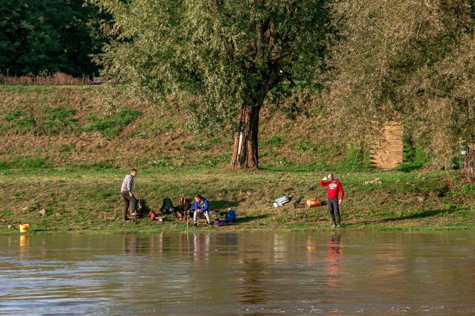 Nedjeljna šetnja promenadom