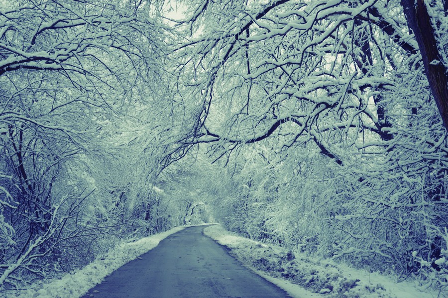 baranja_by_gordan_trtanj_SiBhr_