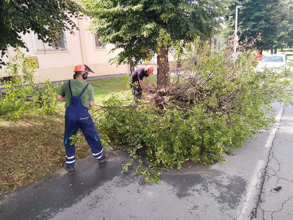 Olujni vjetar rušio drva u Osijeku