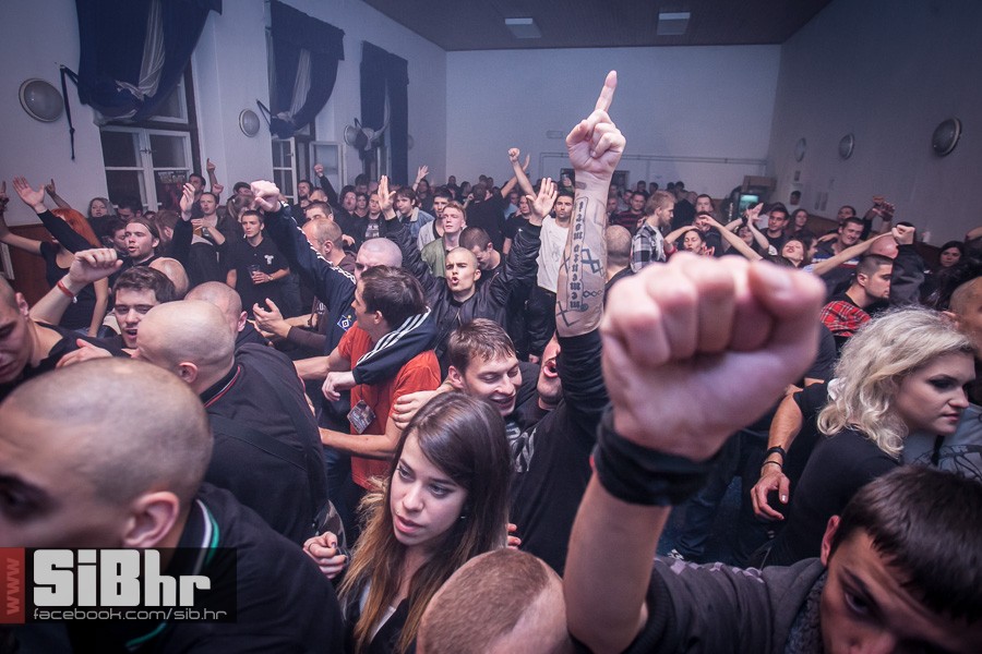 dom_kulture_bilje_11_10_2013_mb