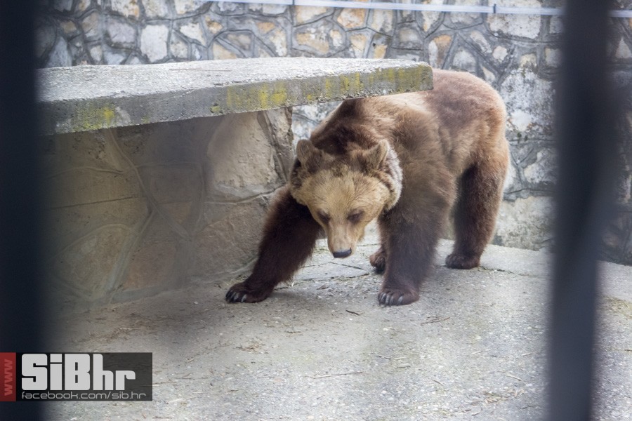 zoo_uskrs_2016_sibhr_118