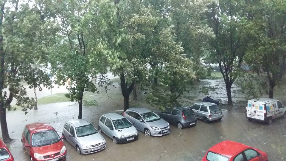 13494780_879944908777094_224063