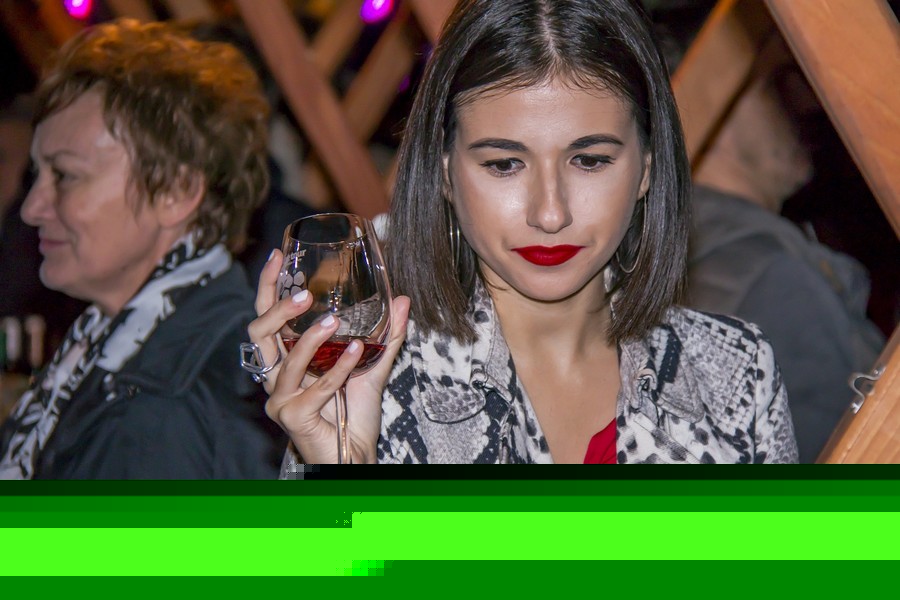 Vecer_vina_i_umjetnosti_SiB_hr-
