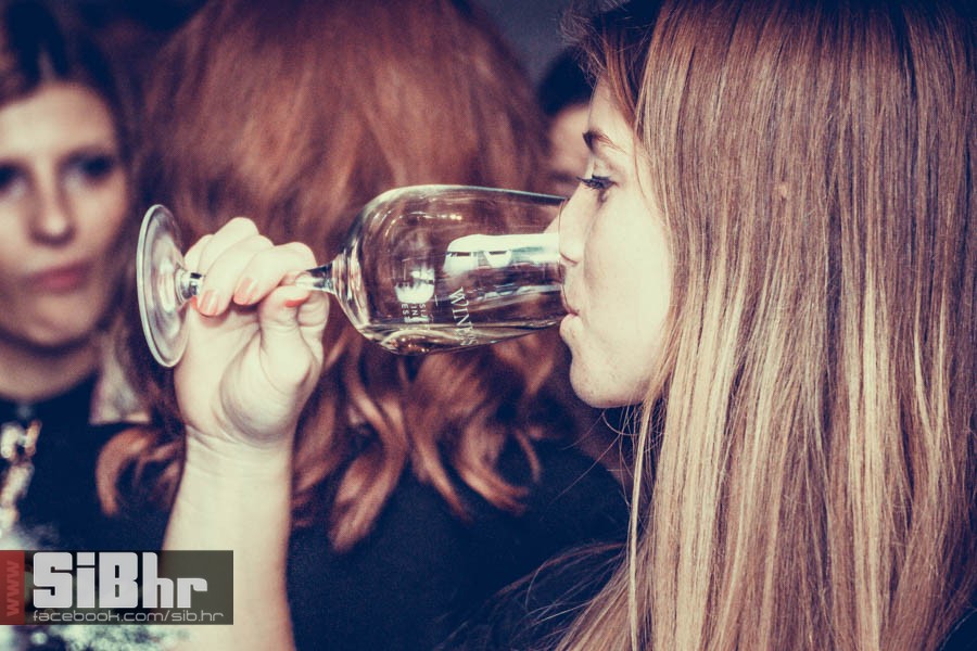 wine_fest_osijek_2015_SiBhr_39