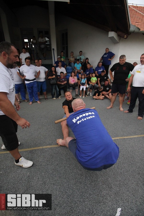 brodjanci_olimpijada_2014_SiBhr