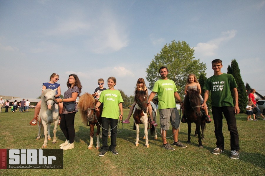 brodjanci_olimpijada_2014_SiBhr