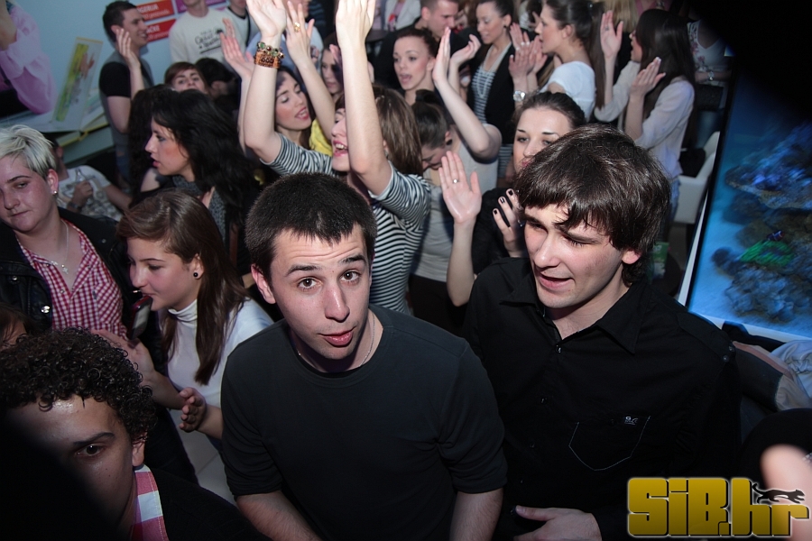 prva_godina_siba_koncerti093