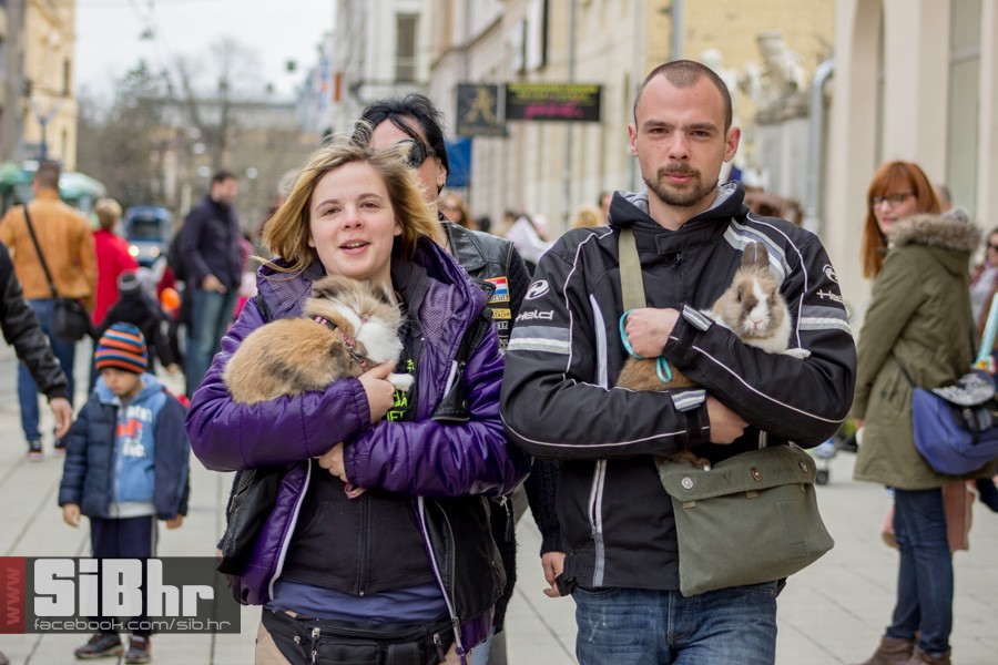 gnijezdo2015_03