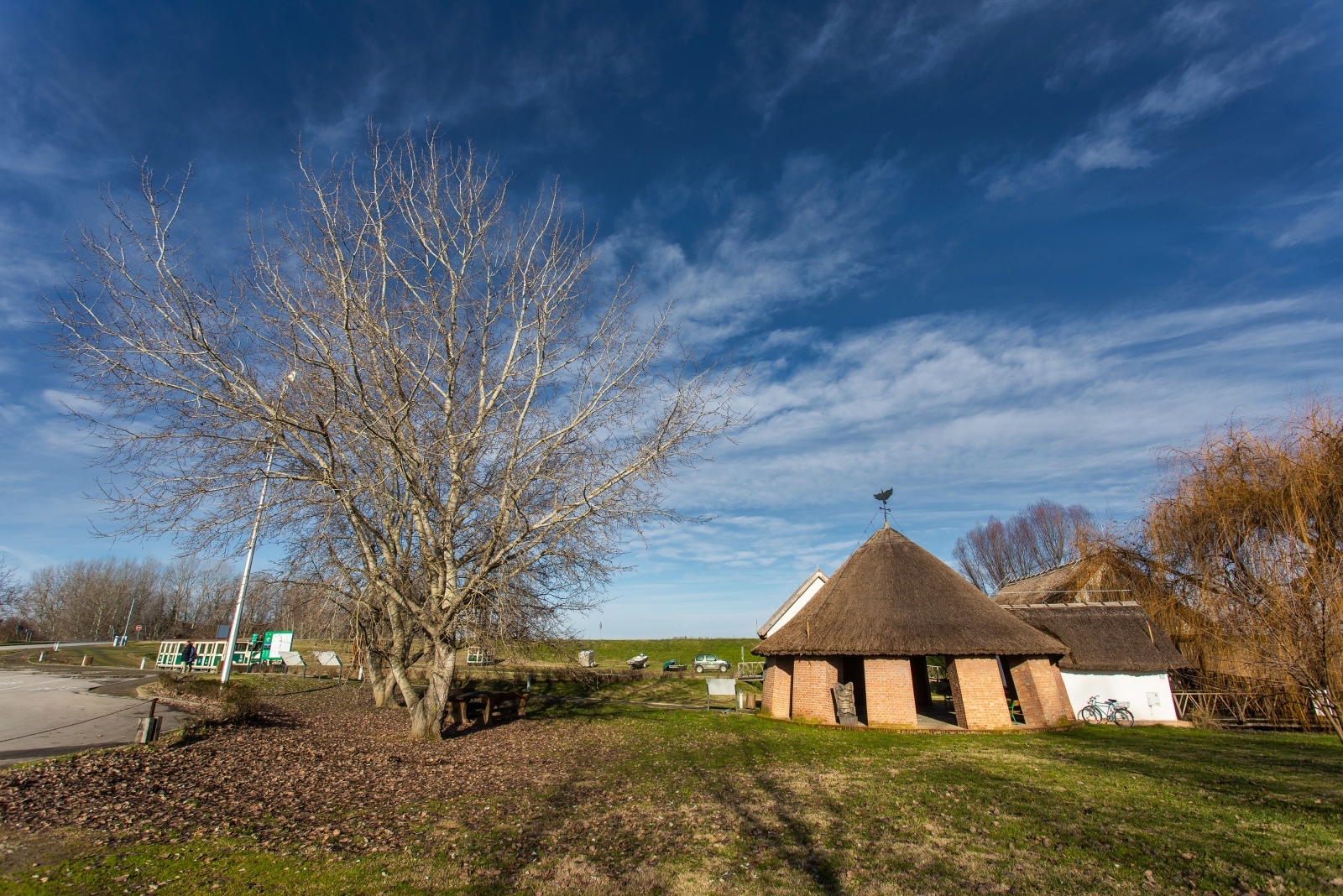 Sunčana šetnja Kopačkim ritom