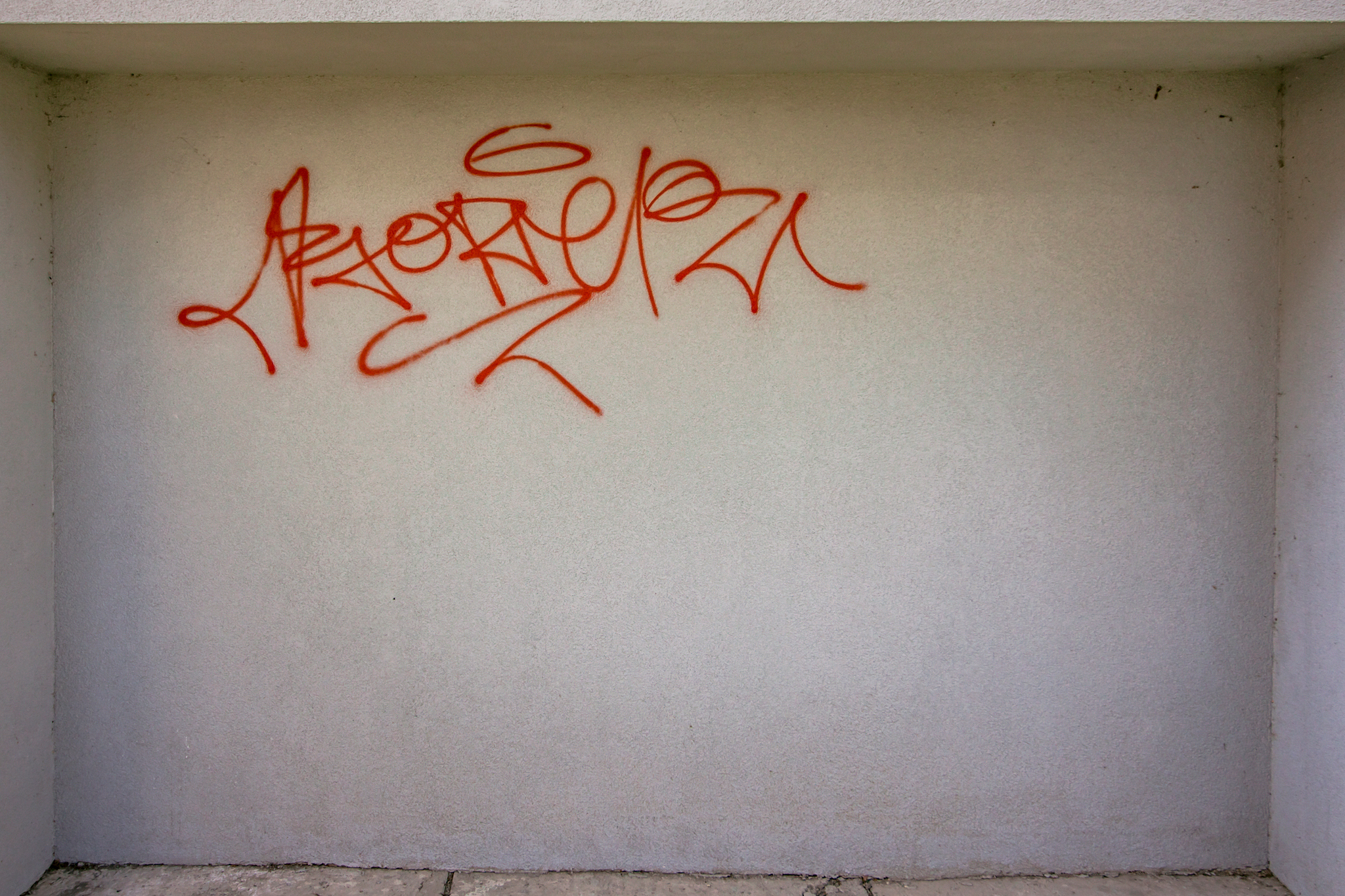 Image 4451263 (auto)