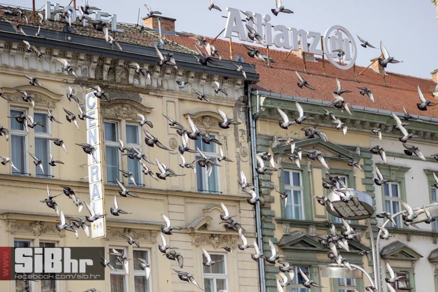 setnja_subota_osijek_51 setnja_subota_osijek_51