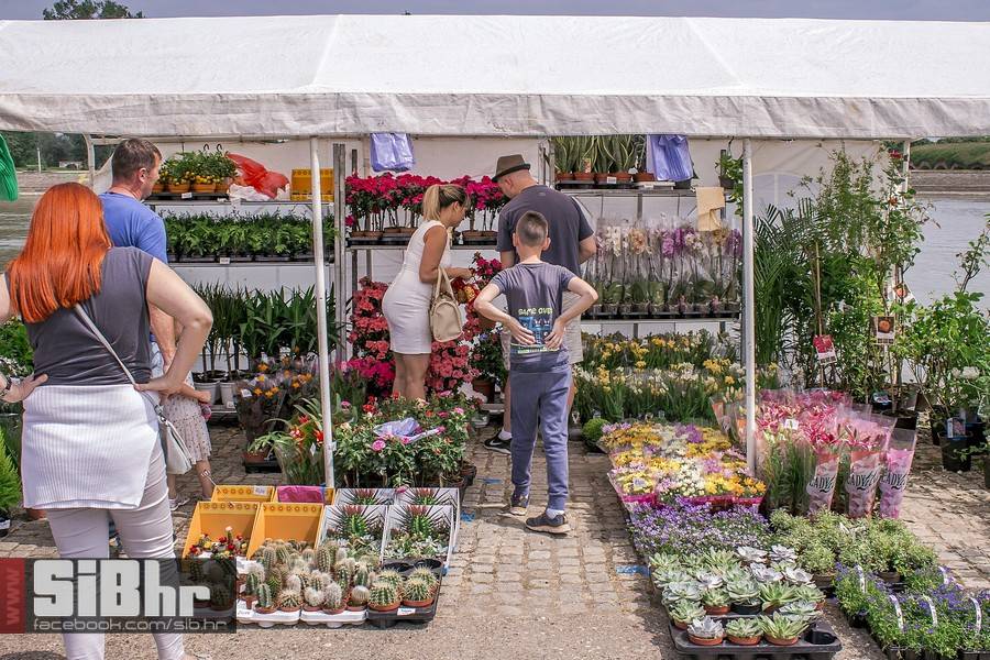 sajam_cvijeca_osijek_8